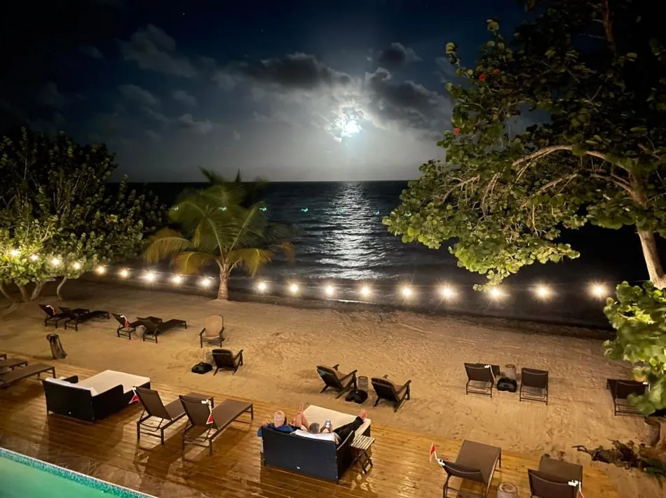 The beach at Mariposa under a full moon, string lights and loungers on the sand