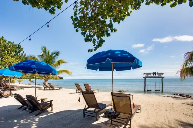 A beach umbrella framed by palms and sky