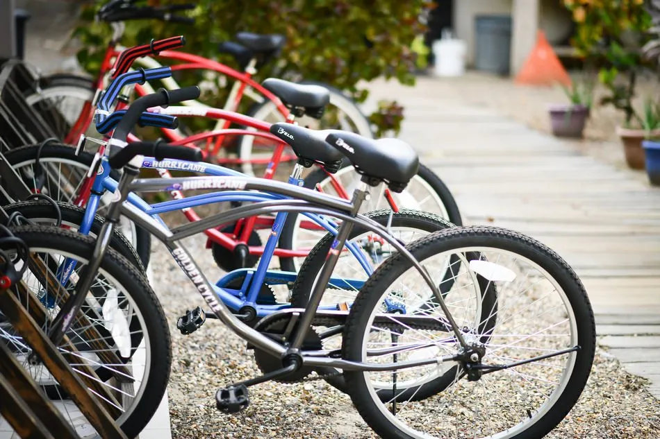 Beach cruiser bikes lined up