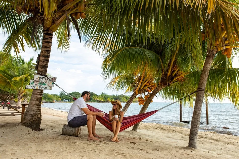A hammock strung between palms by the sea