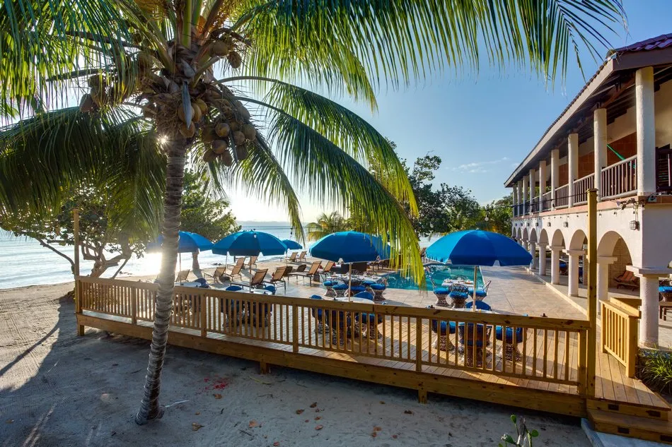 Mariposa Beach Resort seen from the beach — palms, umbrellas, and the pool deck along the Caribbean