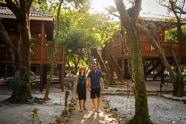 Treehouses nestled in tropical greenery